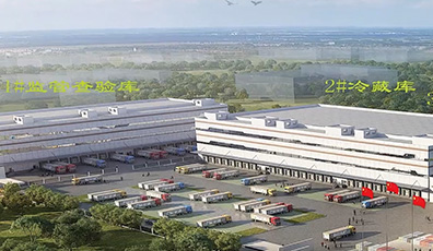 金諾冷鏈，見證大森速度